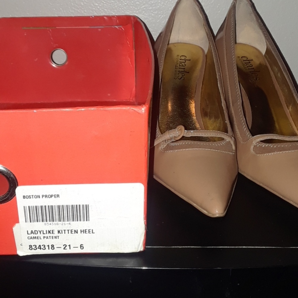 pumps - Picture 4 of 4